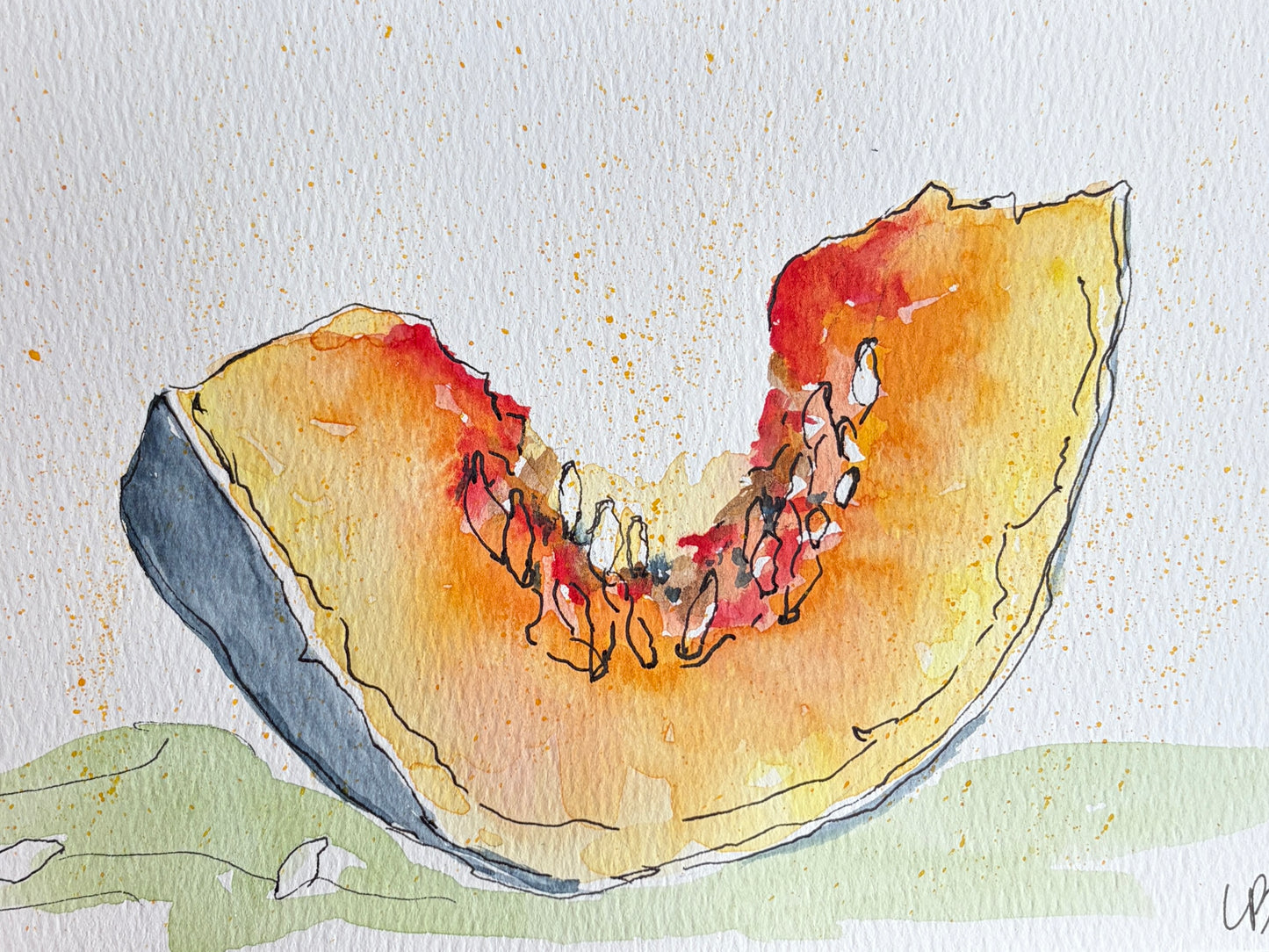Watercolor and ink painting of a wedge of pumpkin with seeds and orange paint splatter