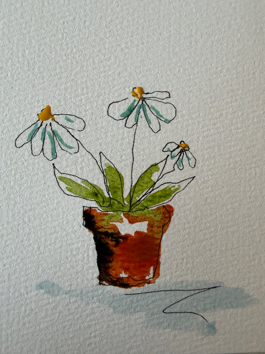Pink Wilted Daisy, original mini watercolor by Lynnie Broos Art