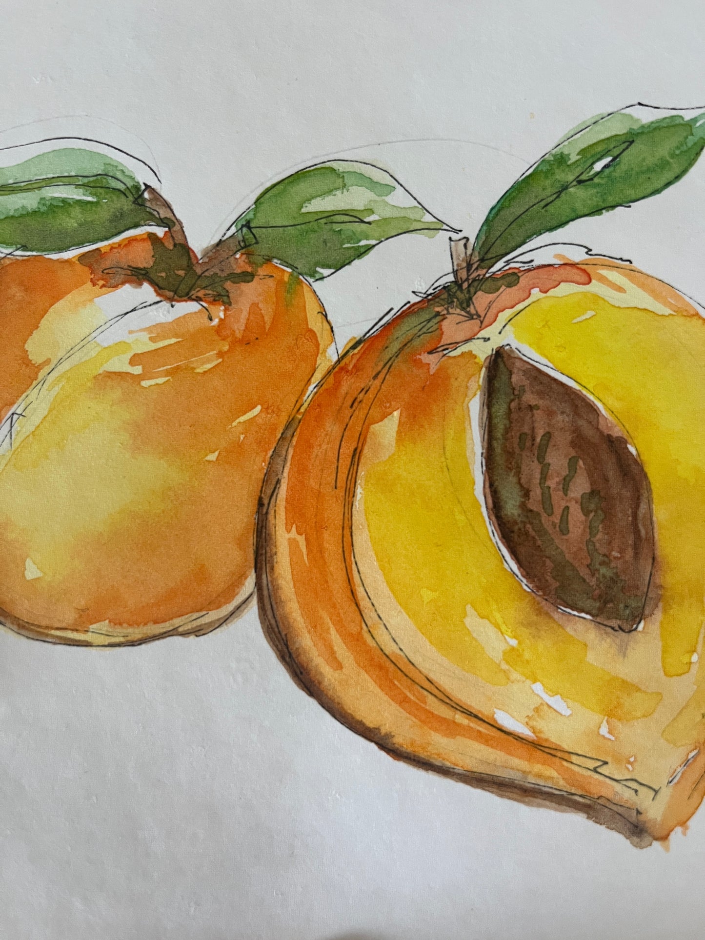 Just Peachy, original watercolor by Lynnie Broos Art