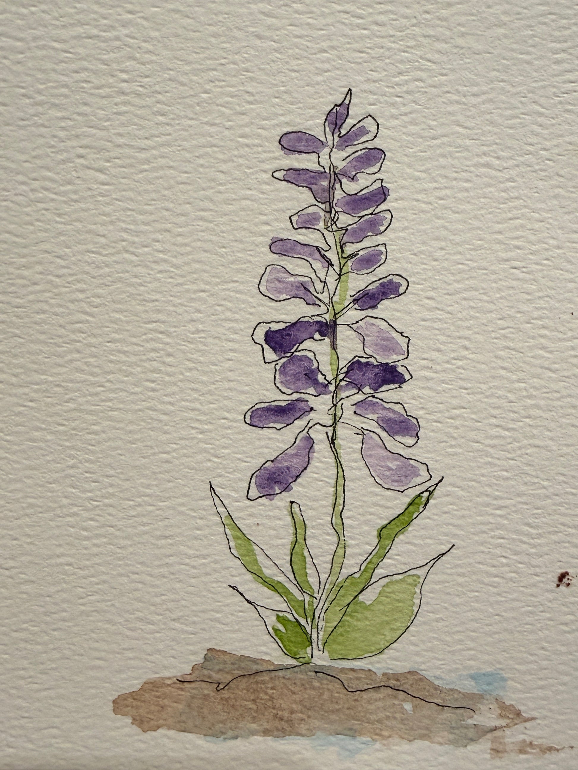 Lavender Lupin, original mini watercolor by Lynnie Broos Art