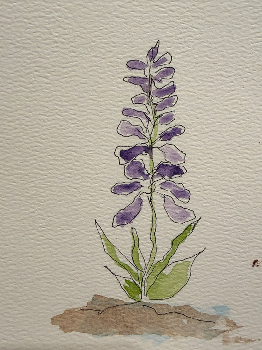 Lavender Lupin, original mini watercolor by Lynnie Broos Art